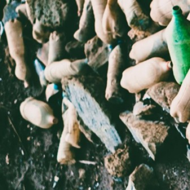 Regulatory Regimes to Reduce Plastic Pollution